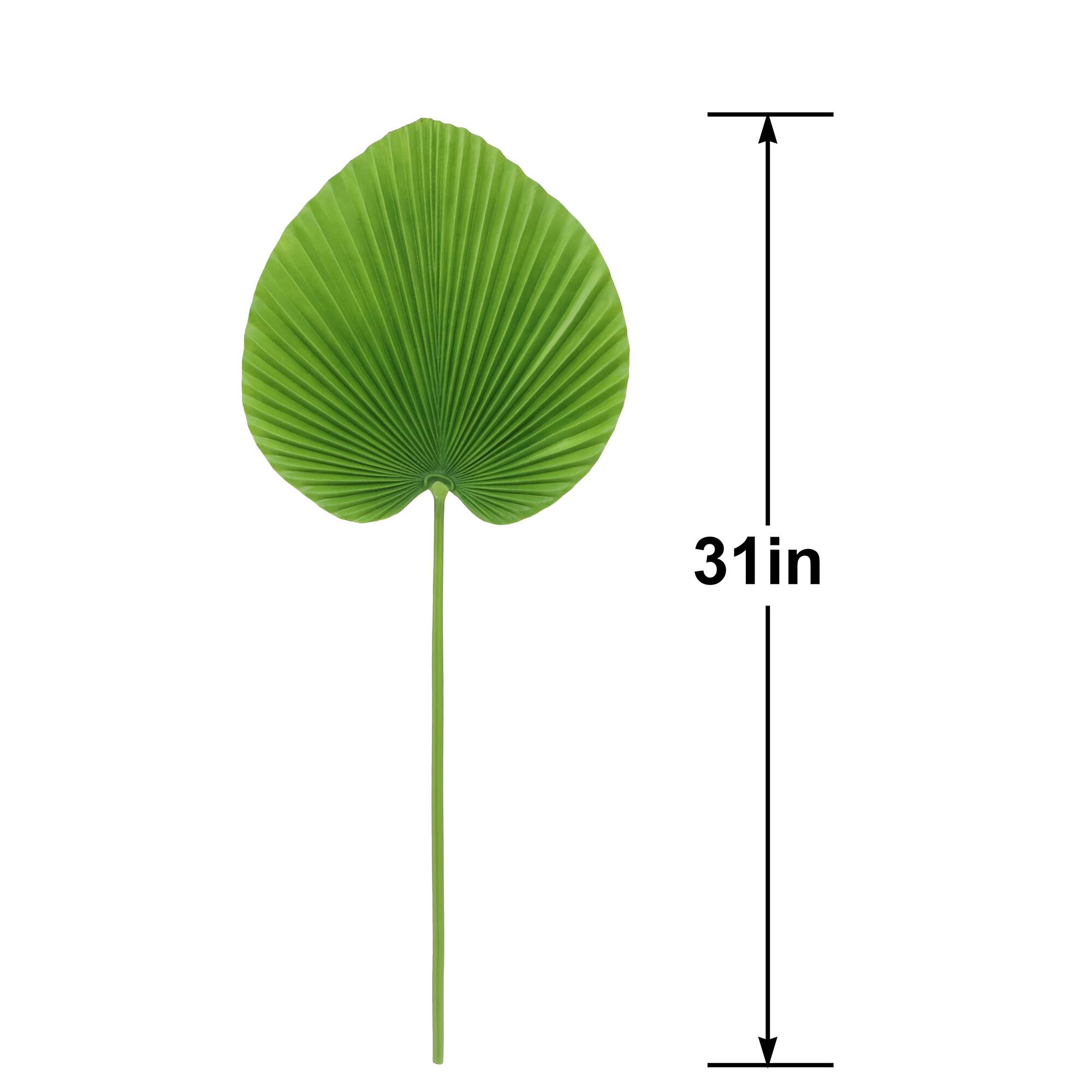 31" Green Palm Stem by Ashland®